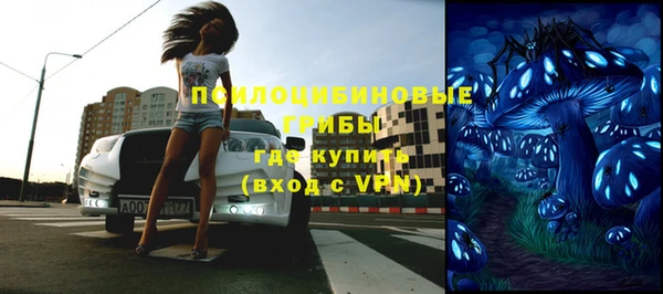 Альфа ПВП Горнозаводск