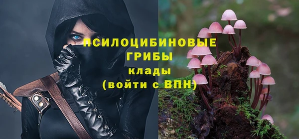 a pvp Гусиноозёрск