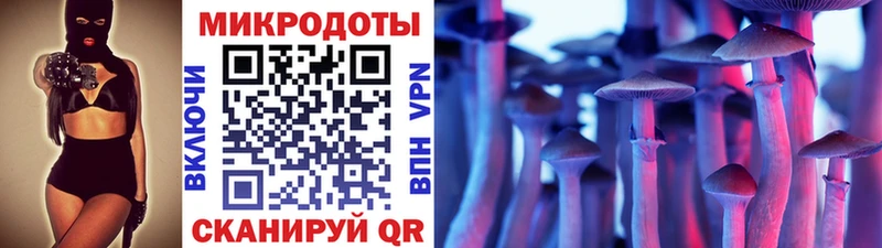 Псилоцибиновые грибы Psilocybe  это клад  Мезень  наркота 